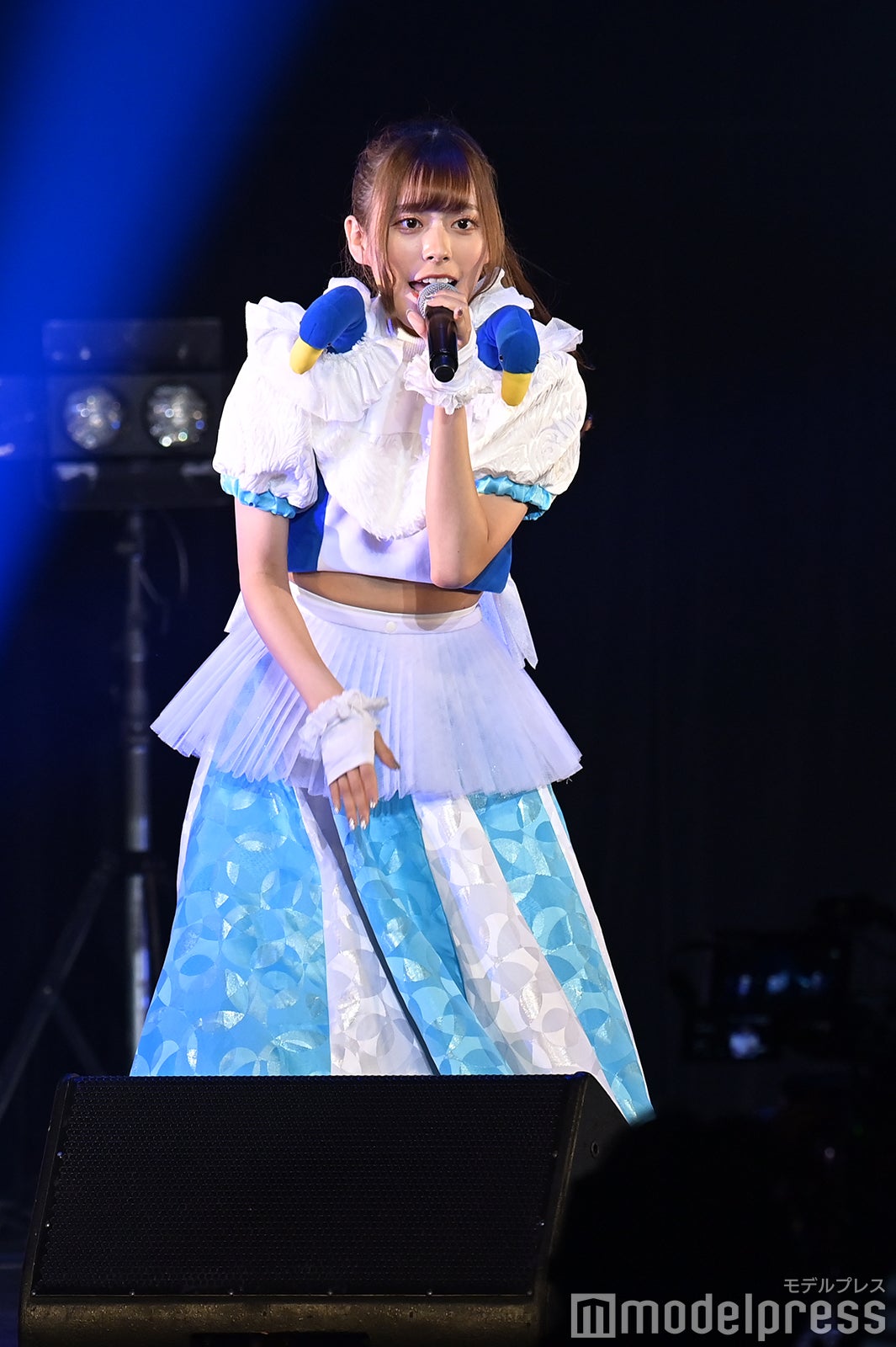 豆柴の大群（C）モデルプレス