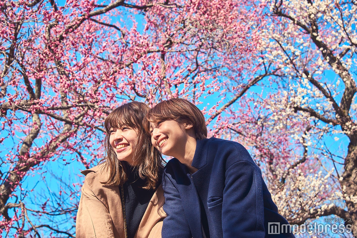 週末は「普通列車グリーン車」に乗って水戸へ女子旅!魅力満載の観光&グルメスポット