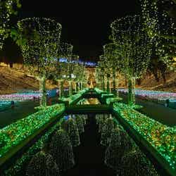 YCVB 特別賞(主催者特別賞)西武園ゆうえんち「イルミージュ」/埼玉県所沢市/画像提供:ぴあ