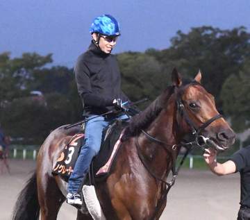 【セントライト記念】勢いに乗るサノノグレーター 中山経験ありデータイチ推し 重賞連勝でラスト1冠へ弾みつける