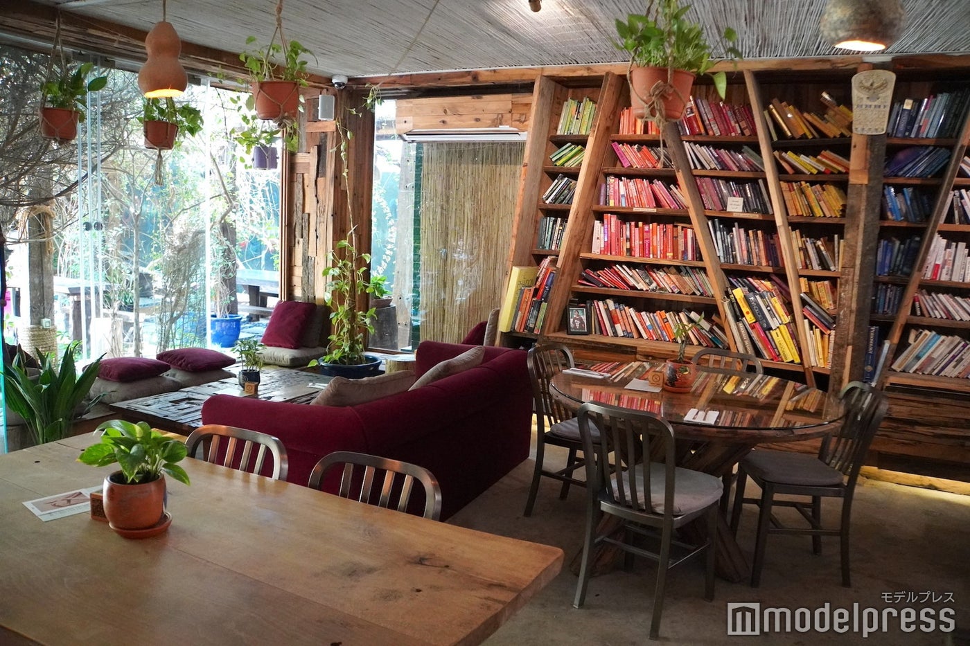 セヴァ(C)モデルプレス