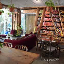 セヴァ(C)モデルプレス