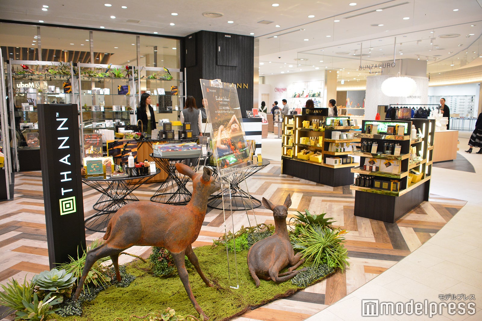 THANN（C）モデルプレス