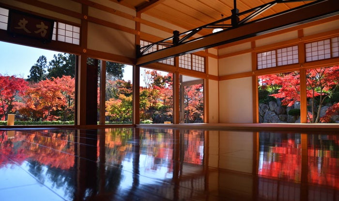 秋の床もみじ/画像提供:宝徳寺