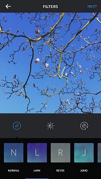 Lark：赤みを押さえ、青・緑の彩度とコントラストを強くし、全体をはっきりとした印象にする。