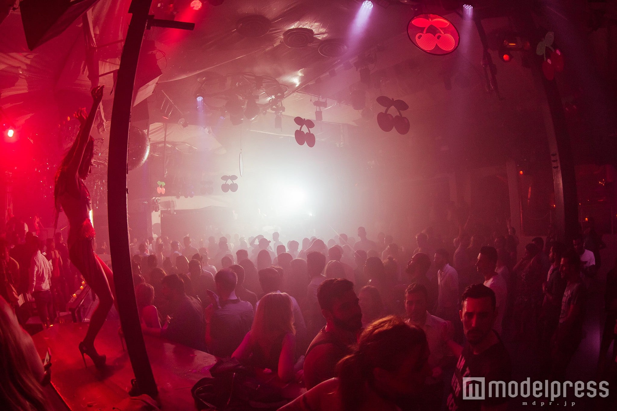 「PACHA」／画像提供：PFJ