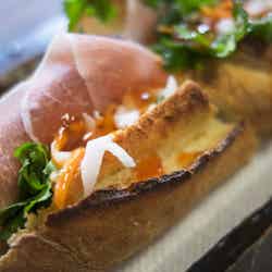 ~中伊豆フィッシングリゾート~Gran In/提供画像