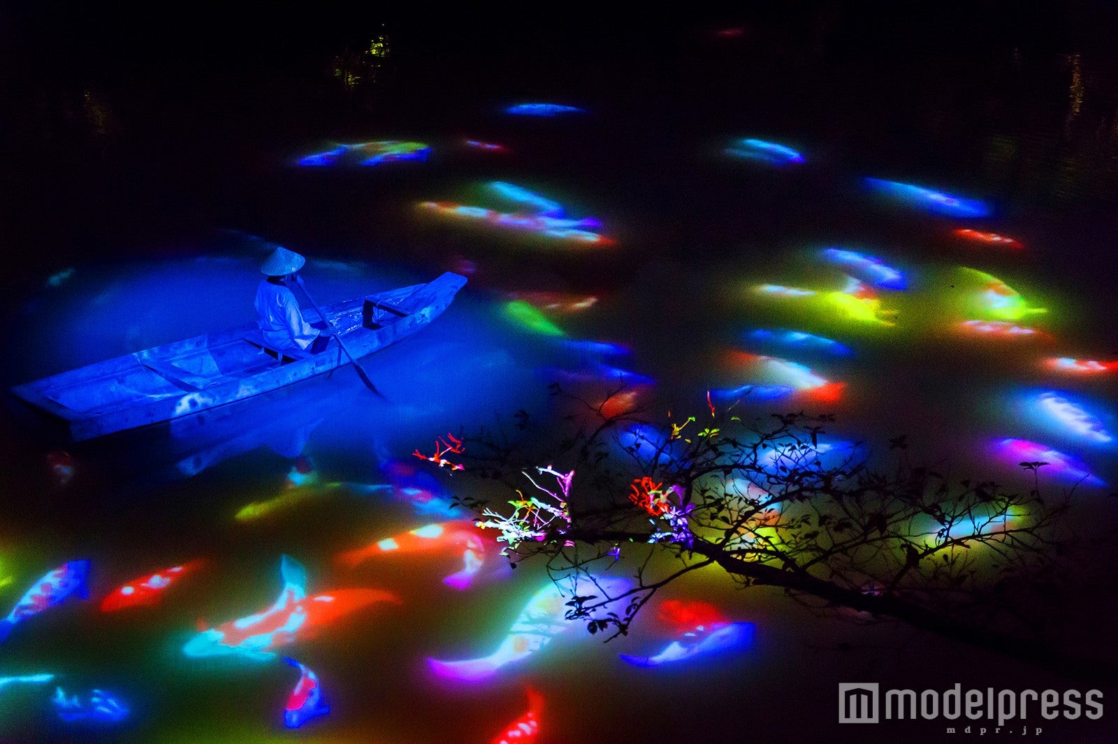 鯉の群れの映像／画像提供：御船山観光ホテル