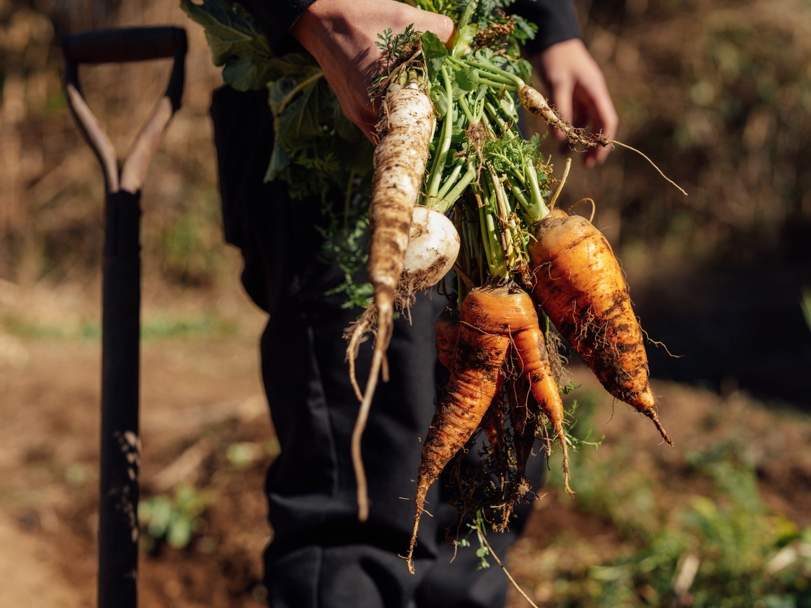 ベッカ イズ／提供画像
