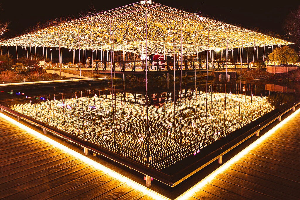 未来への翔き Flower Fantasy／画像提供：足利フラワーリゾート