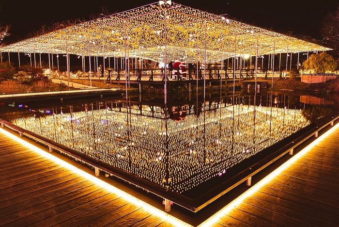 未来への翔き Flower Fantasy／画像提供：足利フラワーリゾート