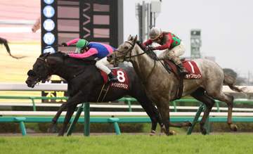【オールカマー】9番人気の伏兵7歳馬メイショウゲキリンが逃げ切って重賞制覇を達成 田辺「恵みの雨だった」 障害効果で3戦ぶり平地＆重賞激走の離れ業