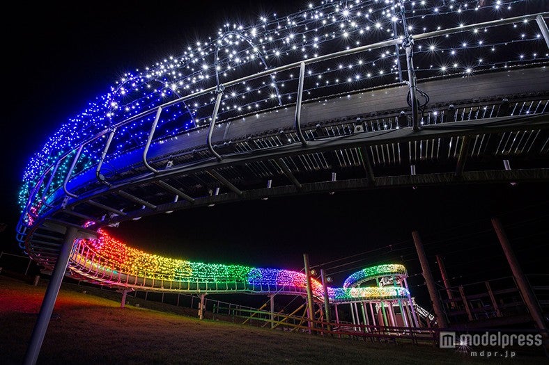 「グランイルミ」／画像提供：伊豆シャボテン公園