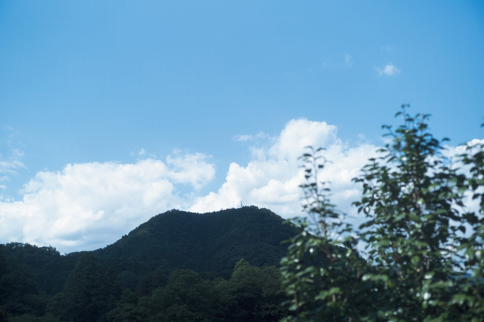 「週刊少年マガジン」41号（9月7日発売／画像提供：講談社）