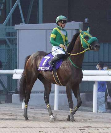 【地方競馬】さきたま杯 ウィルソンテソーロは追い込み届かず2着