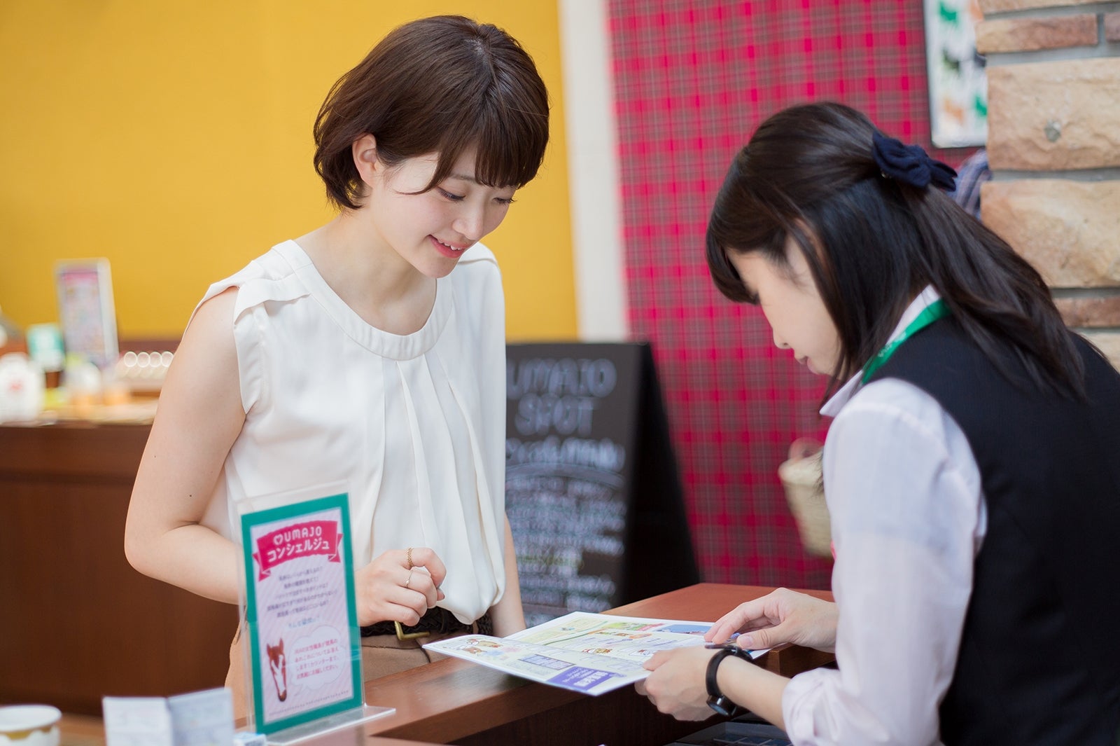 基本からしっかりレクチャー