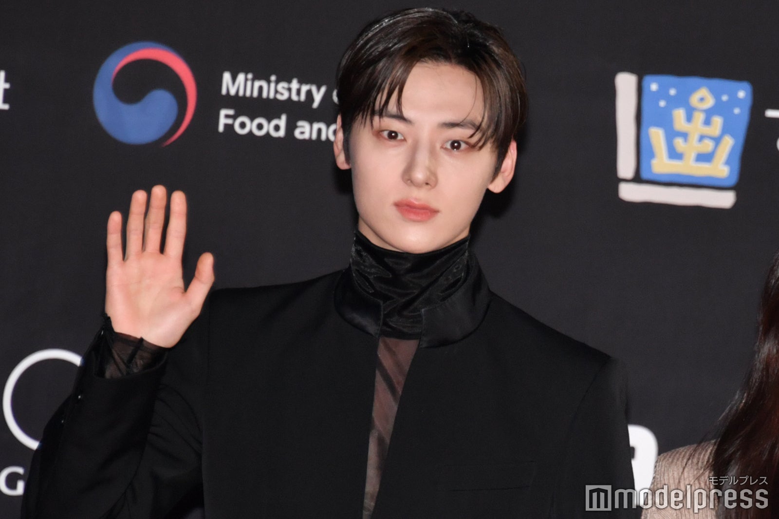ファン・ミンヒョン （C）モデルプレス