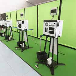 THE ARTIST PIC(C)DISPATCH