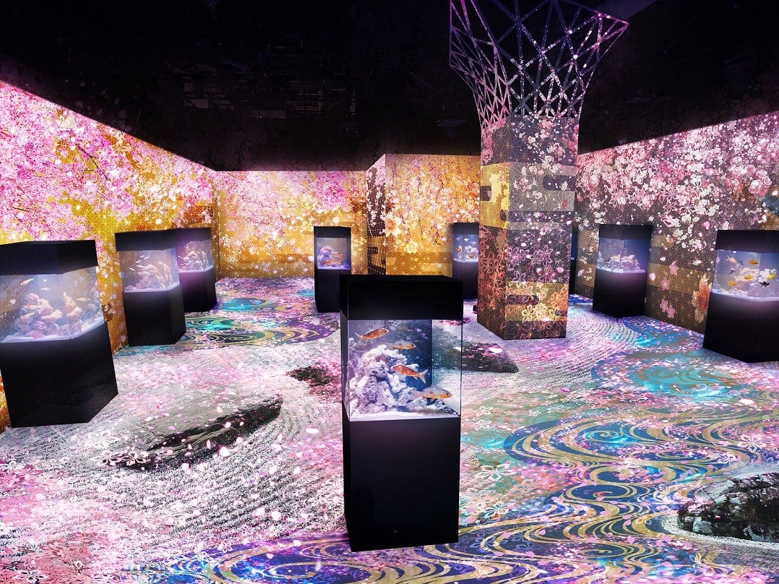 ネイキッドサクラ アクアリウム／画像提供：横浜八景島