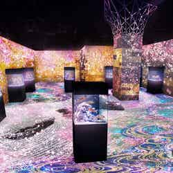 ネイキッドサクラ アクアリウム/画像提供:横浜八景島