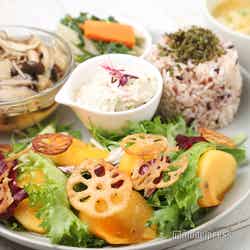 月替わりの「プレートランチ」(C)モデルプレス