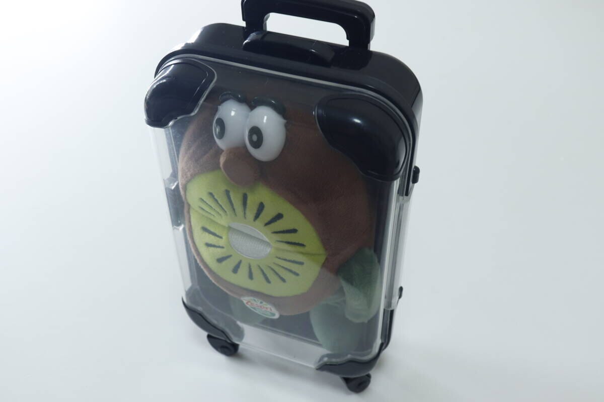 ミニキャリーケース型小物入れ（黒、白、紫）　ぬいぐるみ収納時