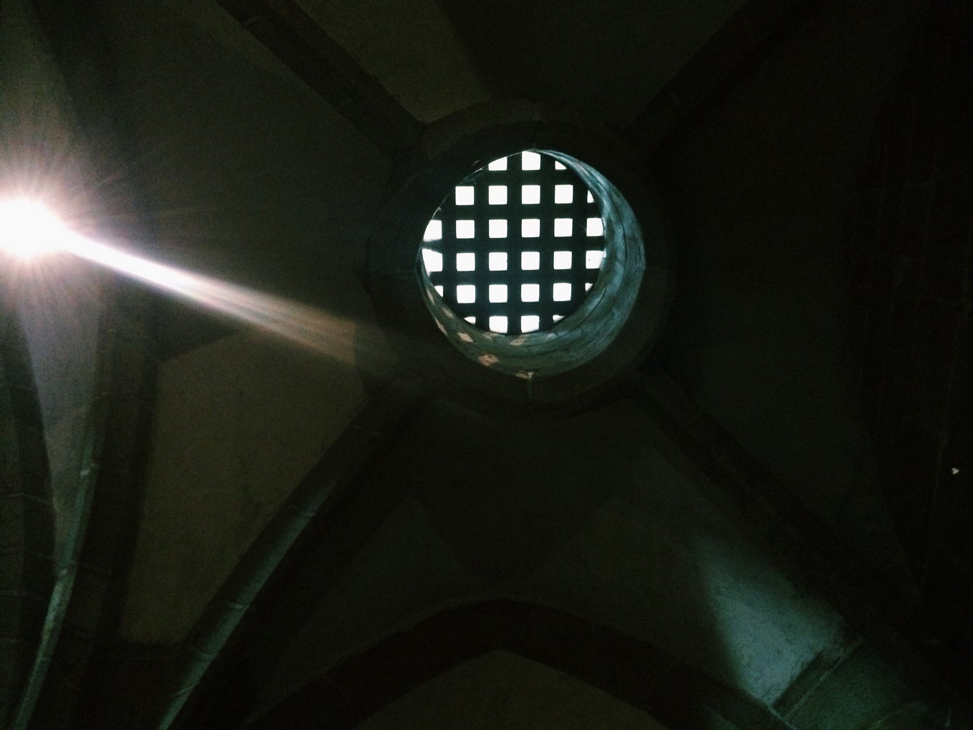 画像提供：所属事務所