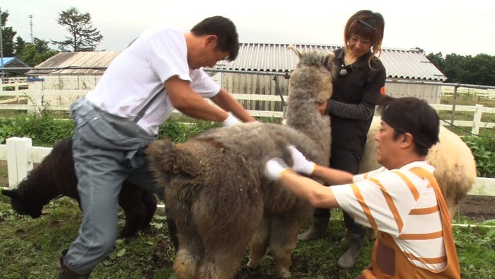 レッド吉田(左)、坂上忍(右)(C)フジテレビ
