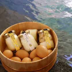 湯田中温泉プリン本舗/画像提供:環境クリエイション