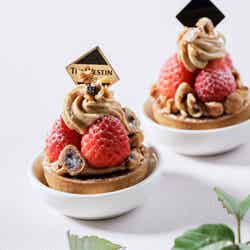 ストロベリー デザートブッフェ/提供素材