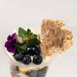 白馬産ブルーベリーのパフェ/画像提供:白馬観光開発