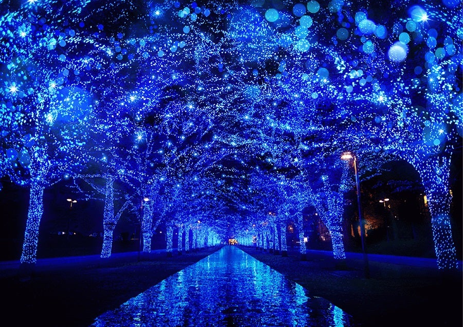 青の洞窟 SHIBUYA