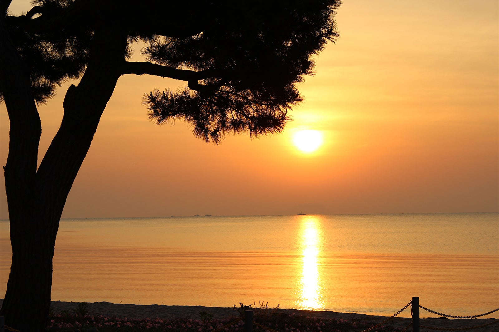 天橋立エリア／画像提供：マリントピアリゾート