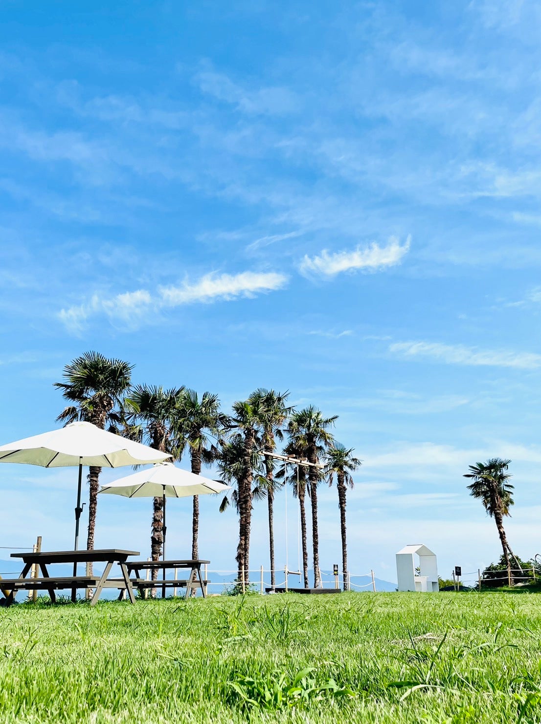 牛窓TARI／画像提供：農業法人株式会社エコタンファーム