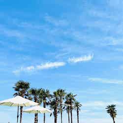 牛窓TARI/画像提供:農業法人株式会社エコタンファーム