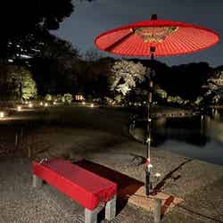 六義園/提供画像