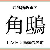 栄螺 って何て読む 読めたらスゴイ 難読漢字 4選 モデルプレス 栄螺 って何て読む 読めたらスゴイ 難読漢字 4選 モデルプレス