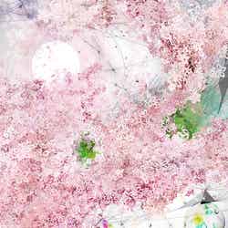 「FLOWERS by NAKED 2017」イメージ/画像提供:ネイキッド