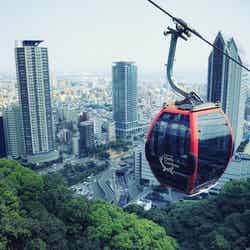 神戸の街並みや山々を眼下に空中散歩/画像提供:神戸布引ハーブ園