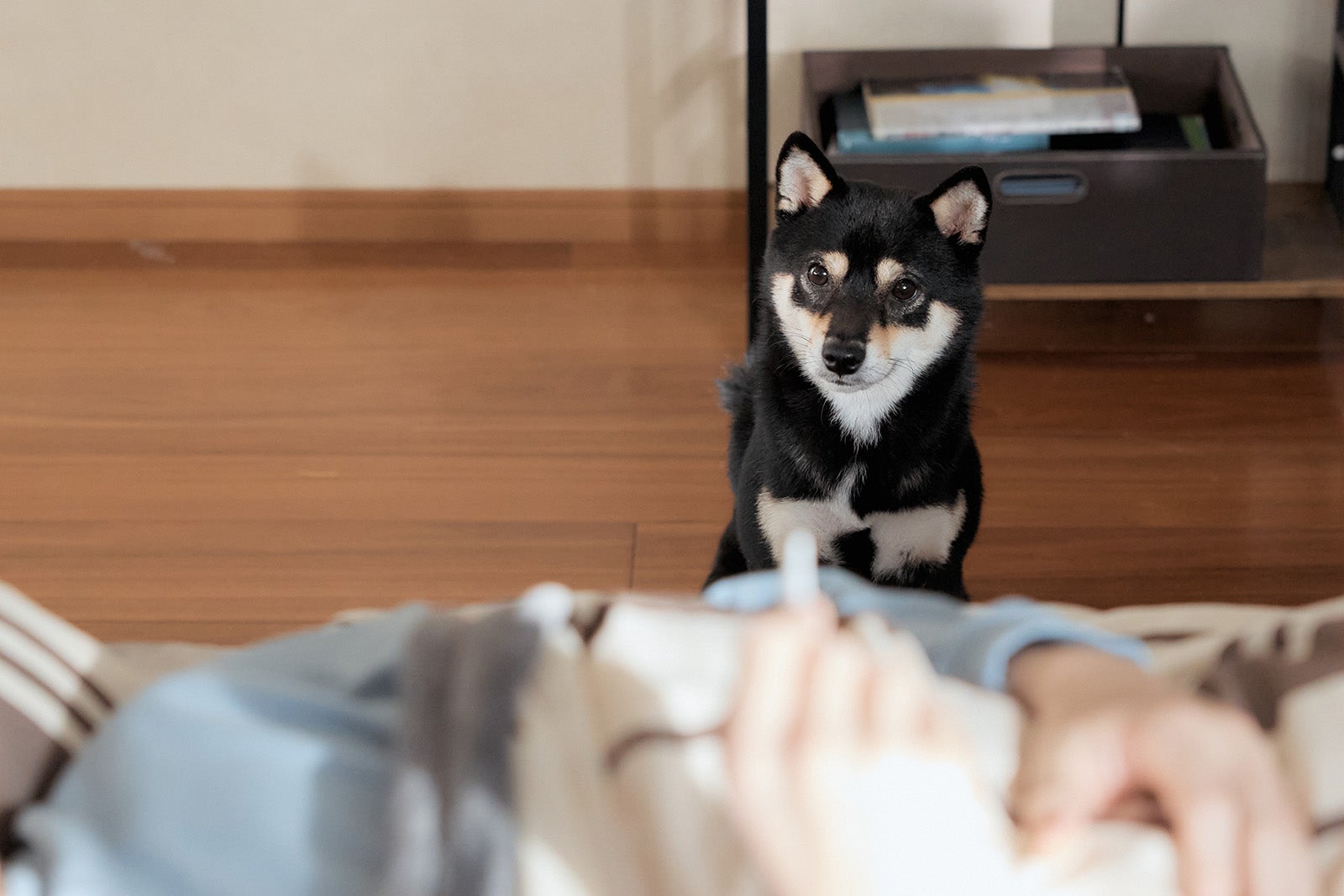 「私たちが恋する理由」最終話（C）テレビ朝日