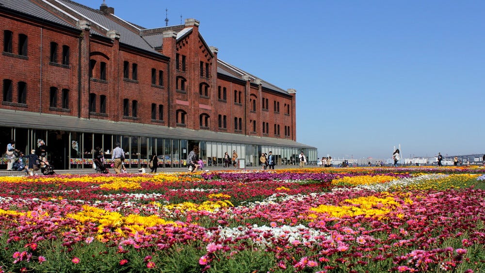 横浜赤レンガ倉庫「フラワーガーデン2021」美しい花畑に癒される春の風物詩