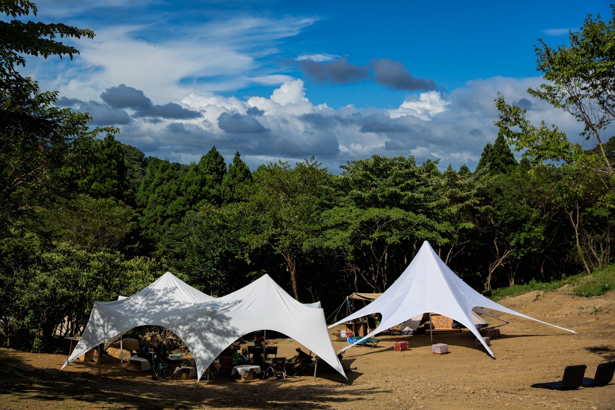 The Caravan（ザ・キャラバン）／画像提供：Wonder Wanderers