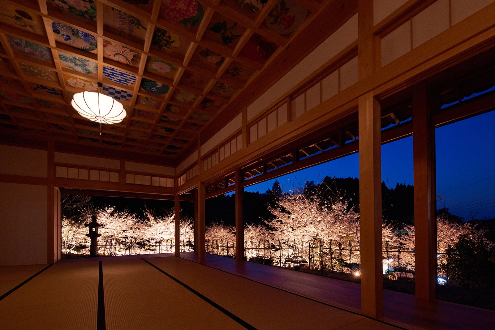 桜ライトアップ／画像提供：正寿院