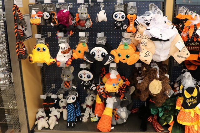 petco_6.jpg