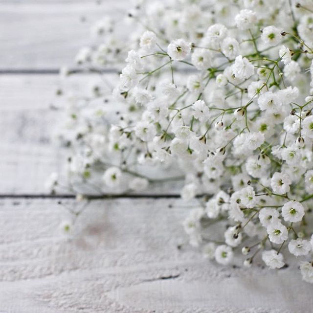 贈り物にも 幸せ な意味の花言葉19選 素敵な想いのこもった花をまとめました モデルプレス 贈り物にも 幸せ な意味の花言葉19選 素敵な想いのこもった花をまとめました モデルプレス