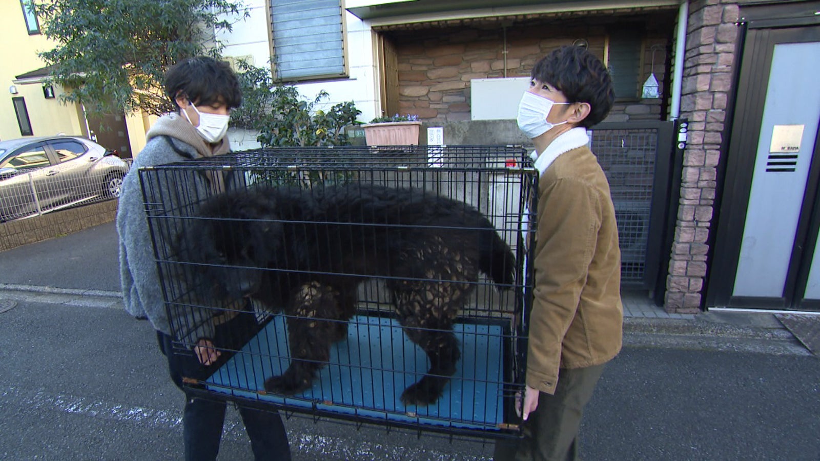 福士蒼汰、相葉雅紀のアドバイスでセクシーボイス連発