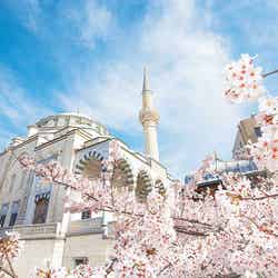 東京ジャーミイ・トルコ文化センター(提供画像)