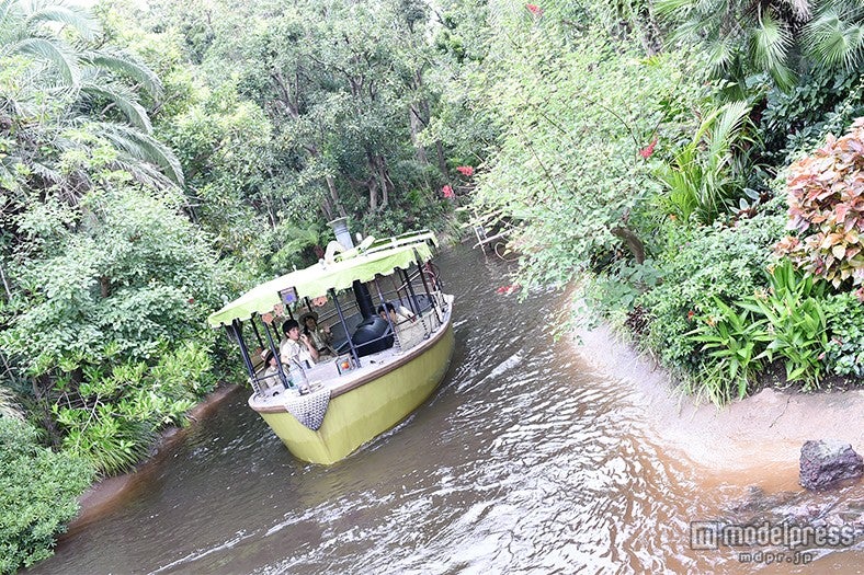 「ジャングルクルーズ：ワイルドライフ・エクスペディション」昼