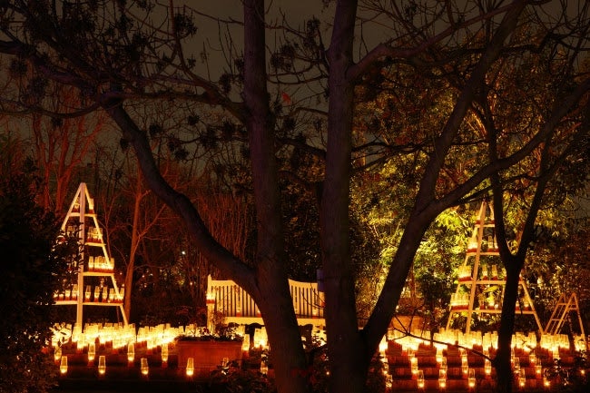 キャンドルナイト昨年の様子／画像提供：京王電鉄