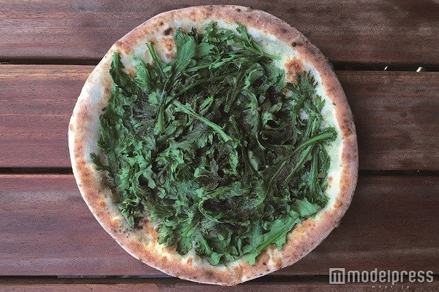 「GARDEN HOUSE」ビターグリーン／画像提供：GARDEN HOUSE